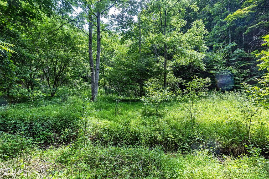 Photo of 9 Lone Star Road, Bristol, VA 24202 (MLS # 9968281)