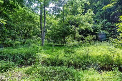 Vacant Land For Sale - LOT 9 Lone Star Road<br/> Bristol, VA 24202