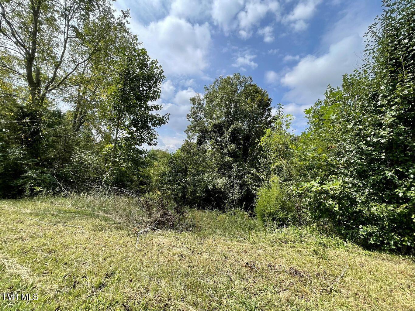 417 Grace Hills Drive, Blountville, Tennessee image 2