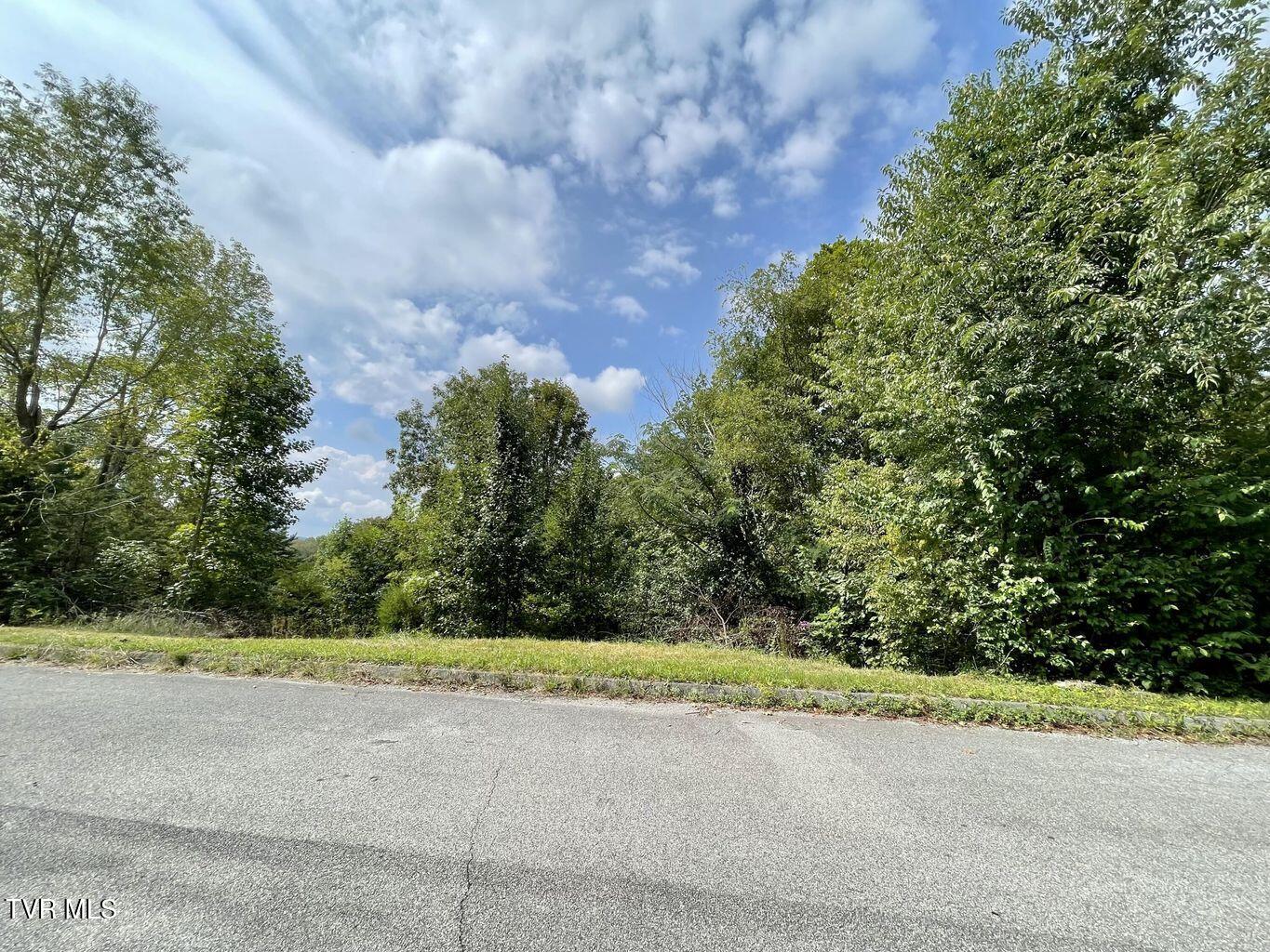 417 Grace Hills Drive, Blountville, Tennessee image 1