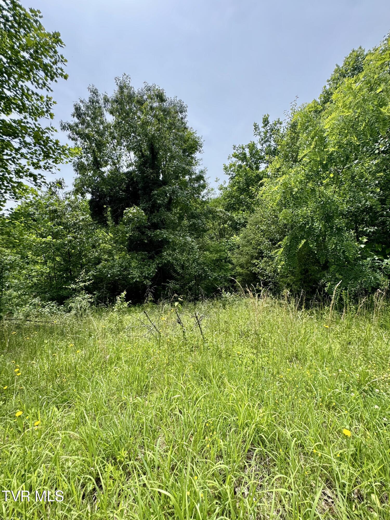 417 Grace Hills Drive, Blountville, Tennessee image 4