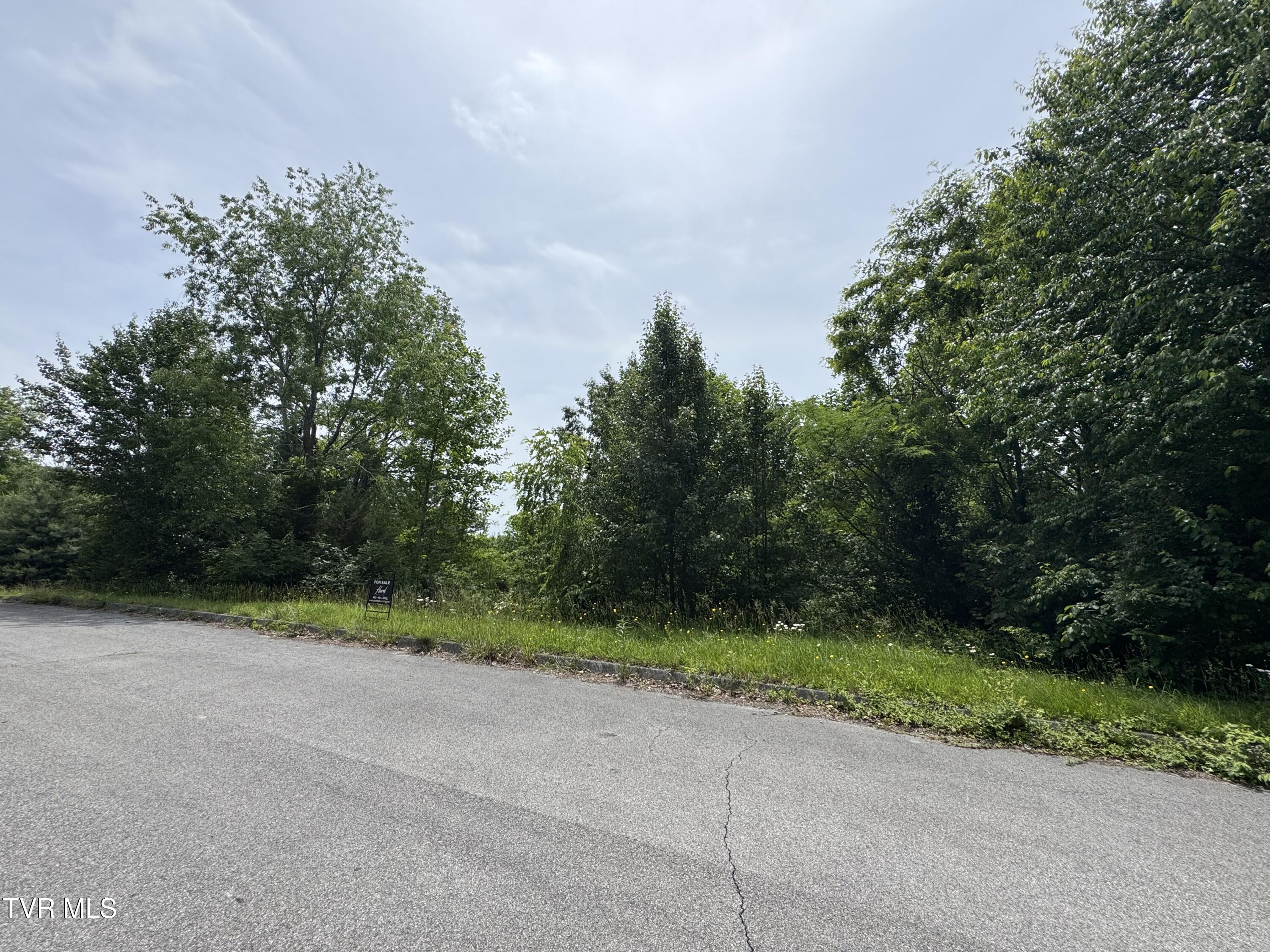 417 Grace Hills Drive, Blountville, Tennessee image 8