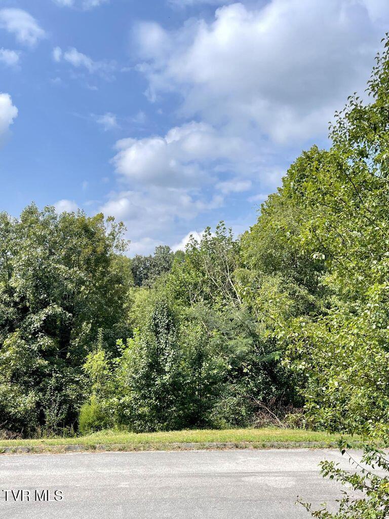 417 Grace Hills Drive, Blountville, Tennessee image 6