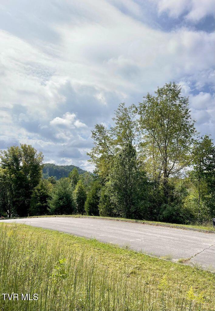 417 Grace Hills Drive, Blountville, Tennessee image 5