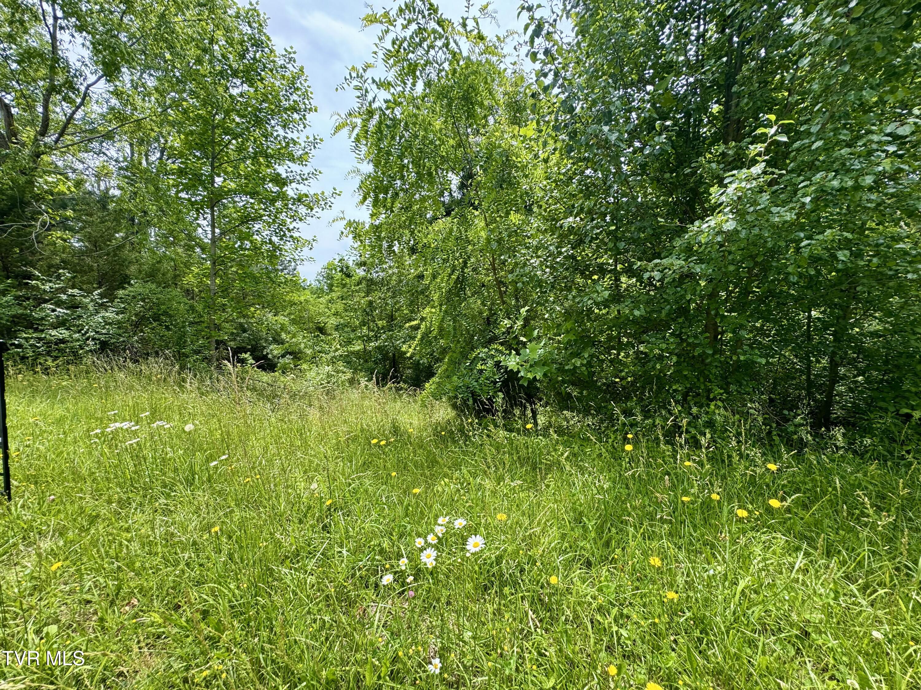 417 Grace Hills Drive, Blountville, Tennessee image 3