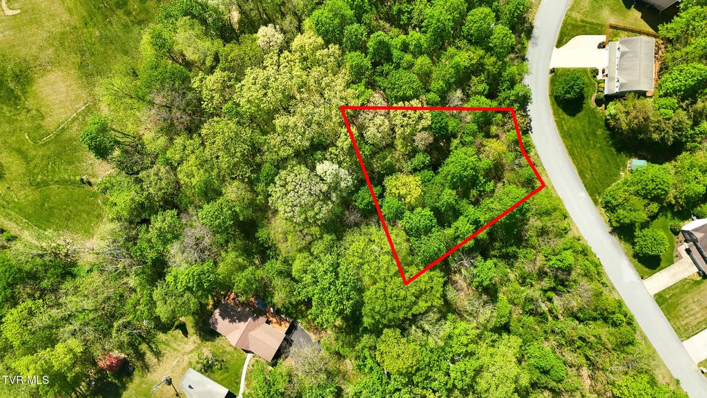 Photo of 284 Holland View Drive, Jonesborough, TN 37659 (MLS # 9994059)