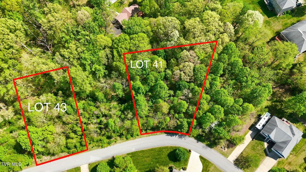 Photo of 284 Holland View Drive, Jonesborough, TN 37659 (MLS # 9994059)