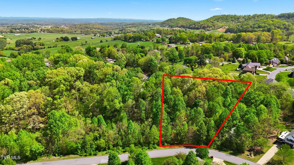 Photo of 284 Holland View Drive, Jonesborough, TN 37659 (MLS # 9994059)