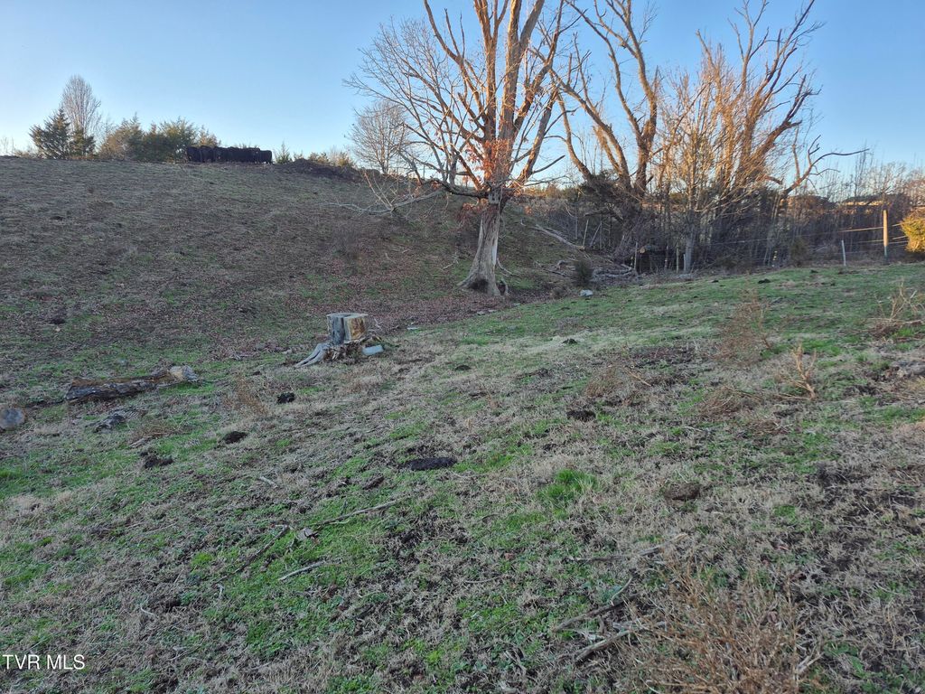 Photo of 00 Cw Kite Ln, Mosheim, TN 37818 (MLS # 9990081)