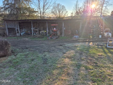 00 Cw Kite Ln Mosheim TN 37818