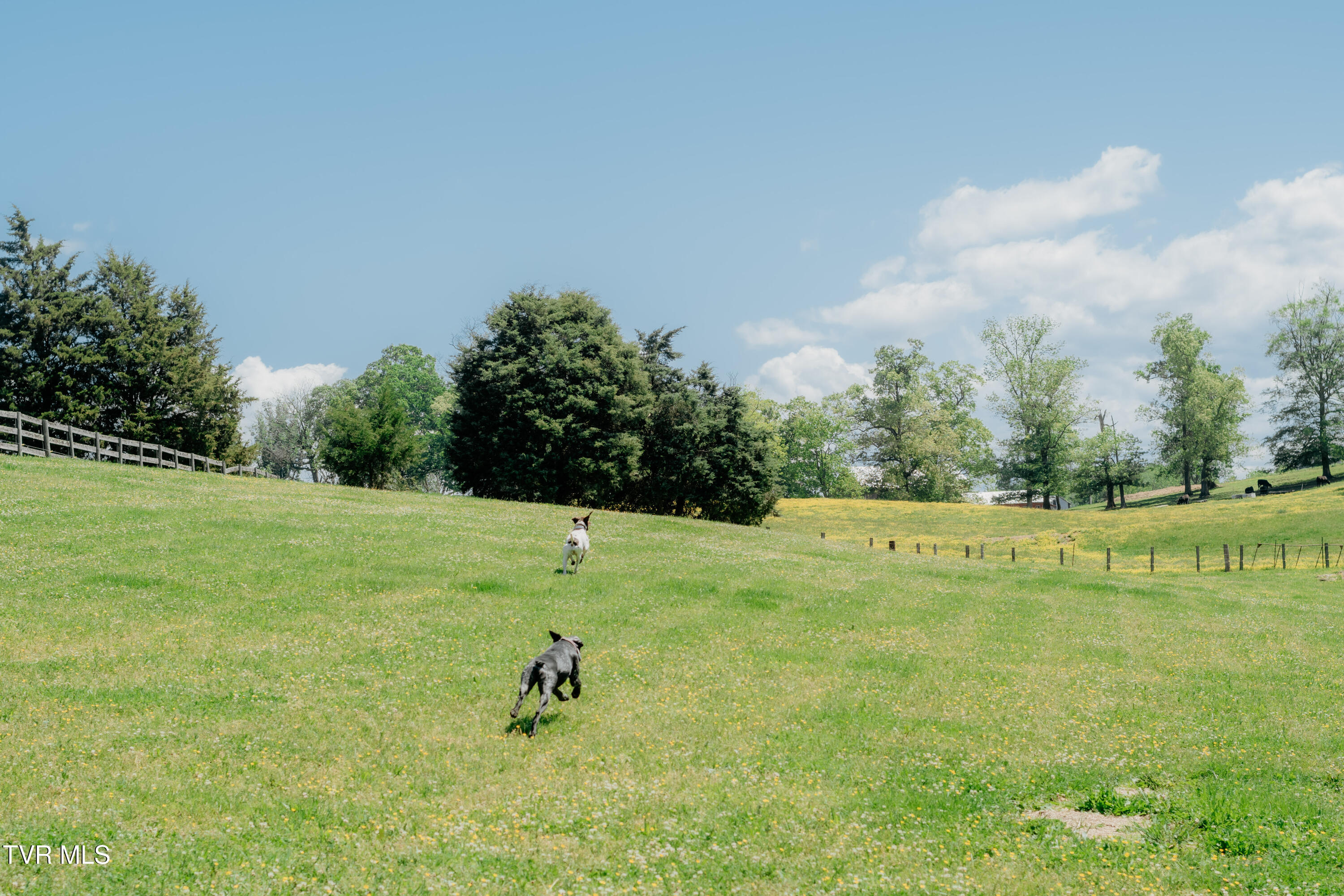 3220 Knob Creek Road