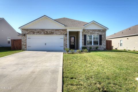 Photo of 1169 Ridge Parke, Kingsport, TN 37663 (MLS # 9985721)