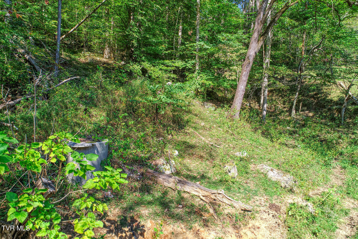 3850 Goshen Valley Road, Rogersville, Tennessee image 20