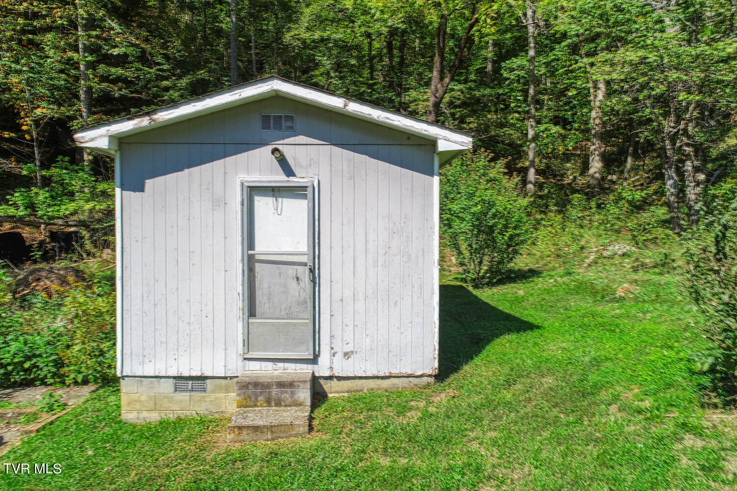 3850 Goshen Valley Road, Rogersville, Tennessee image 13