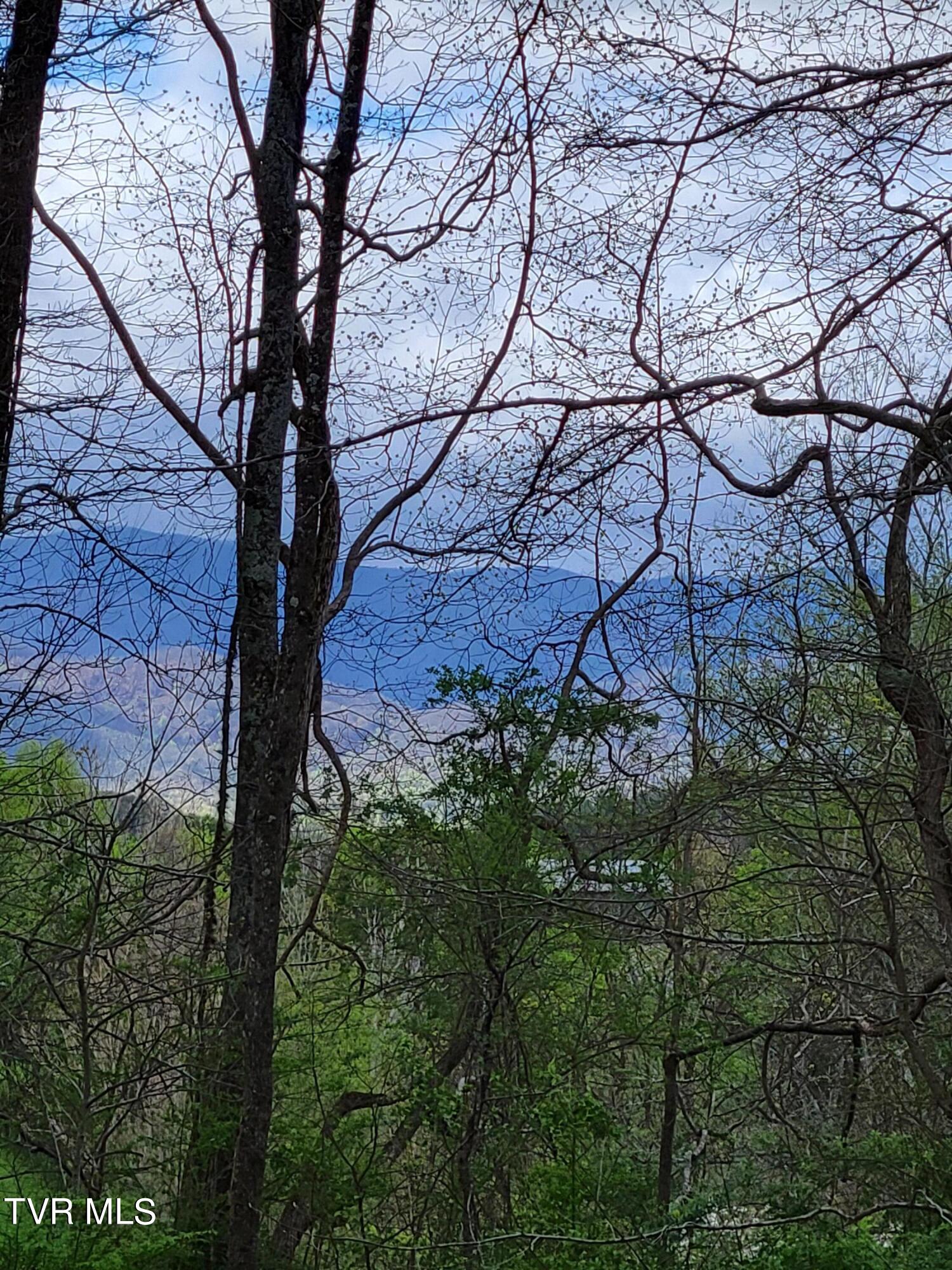 Lot-5 Gravel Hill Road, Limestone, Tennessee image 8