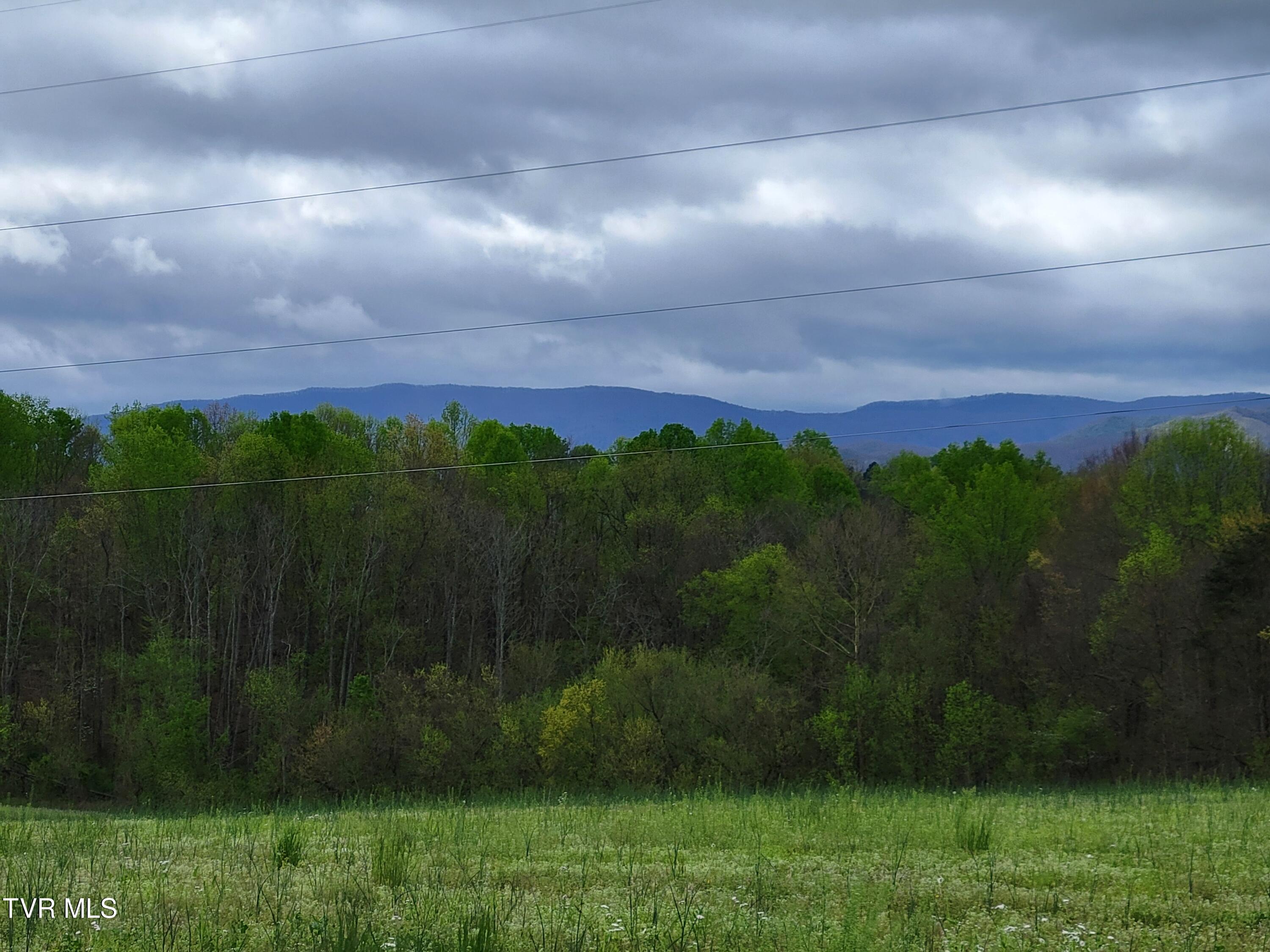 Lot-5 Gravel Hill Road, Limestone, Tennessee image 7