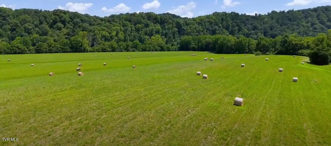 501 Williams Road, Rogersville, Tennessee image 50