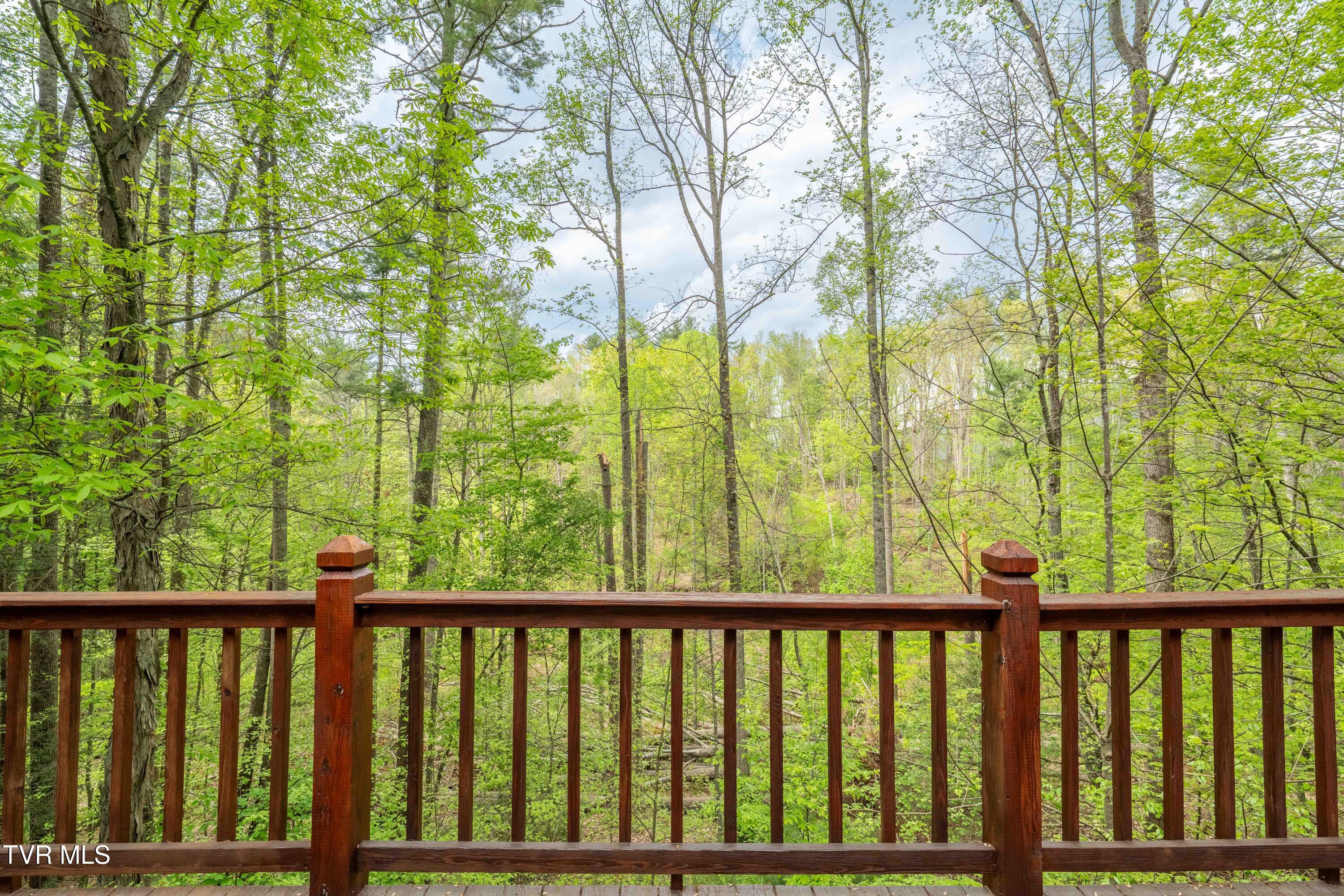 1945 Sage Valley Circle, Mountain City, Tennessee image 17