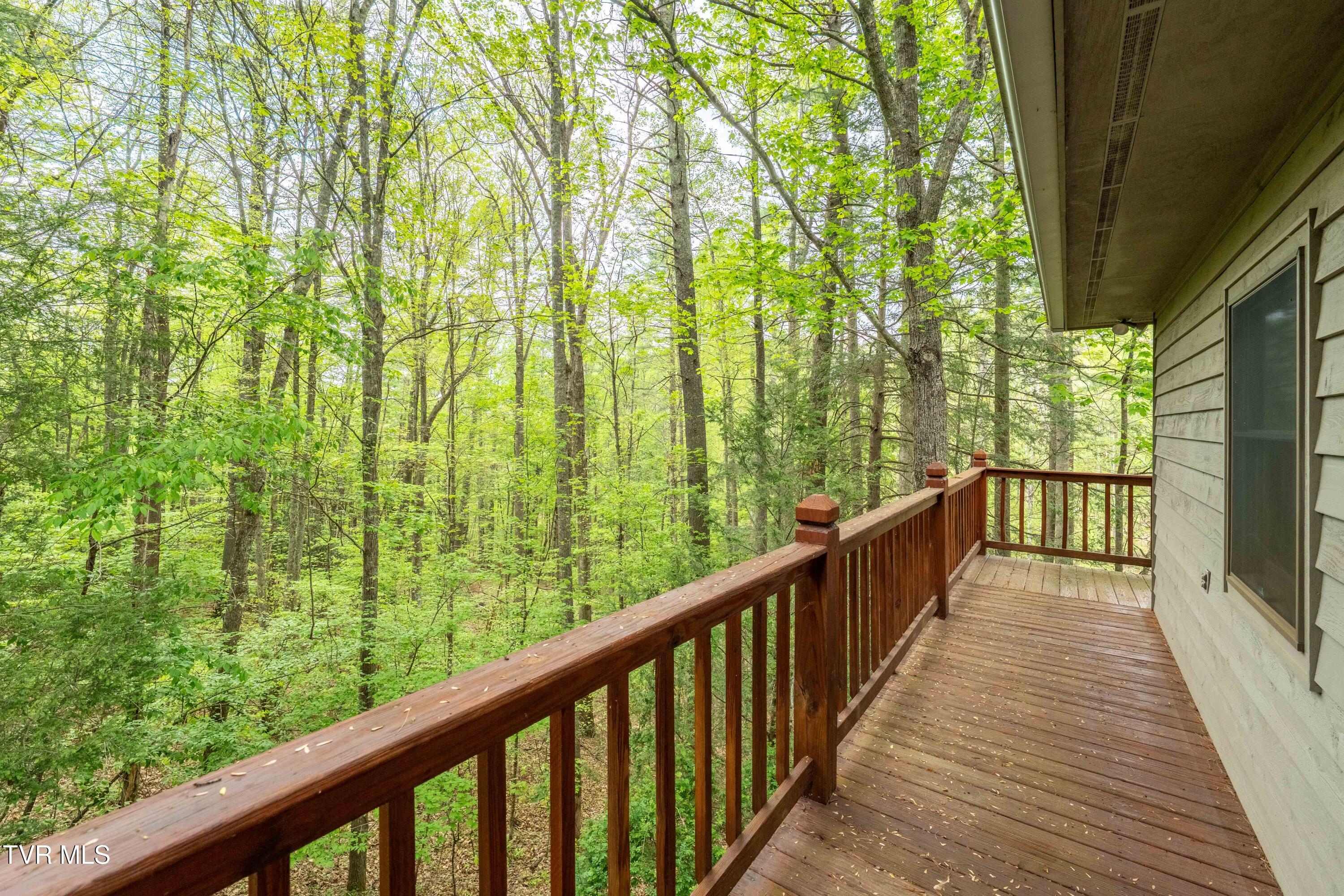 1945 Sage Valley Circle, Mountain City, Tennessee image 20