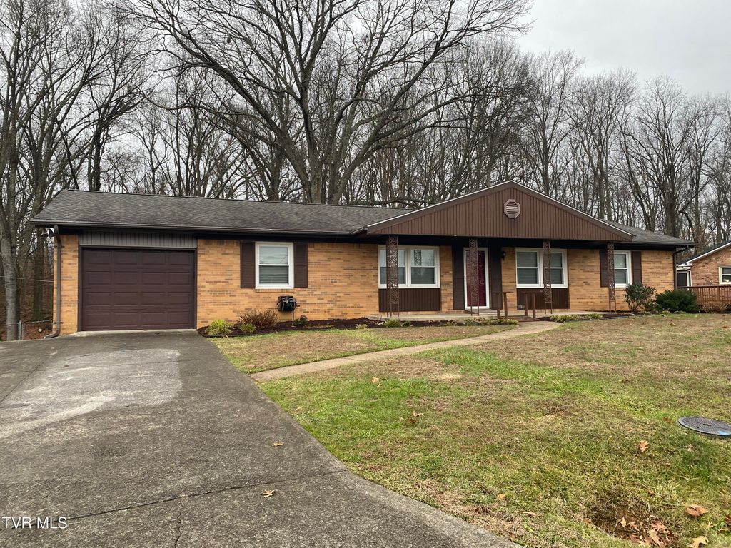 Photo of 4009 Black Oak Drive, Kingsport, TN 37660 (MLS # 9989183)