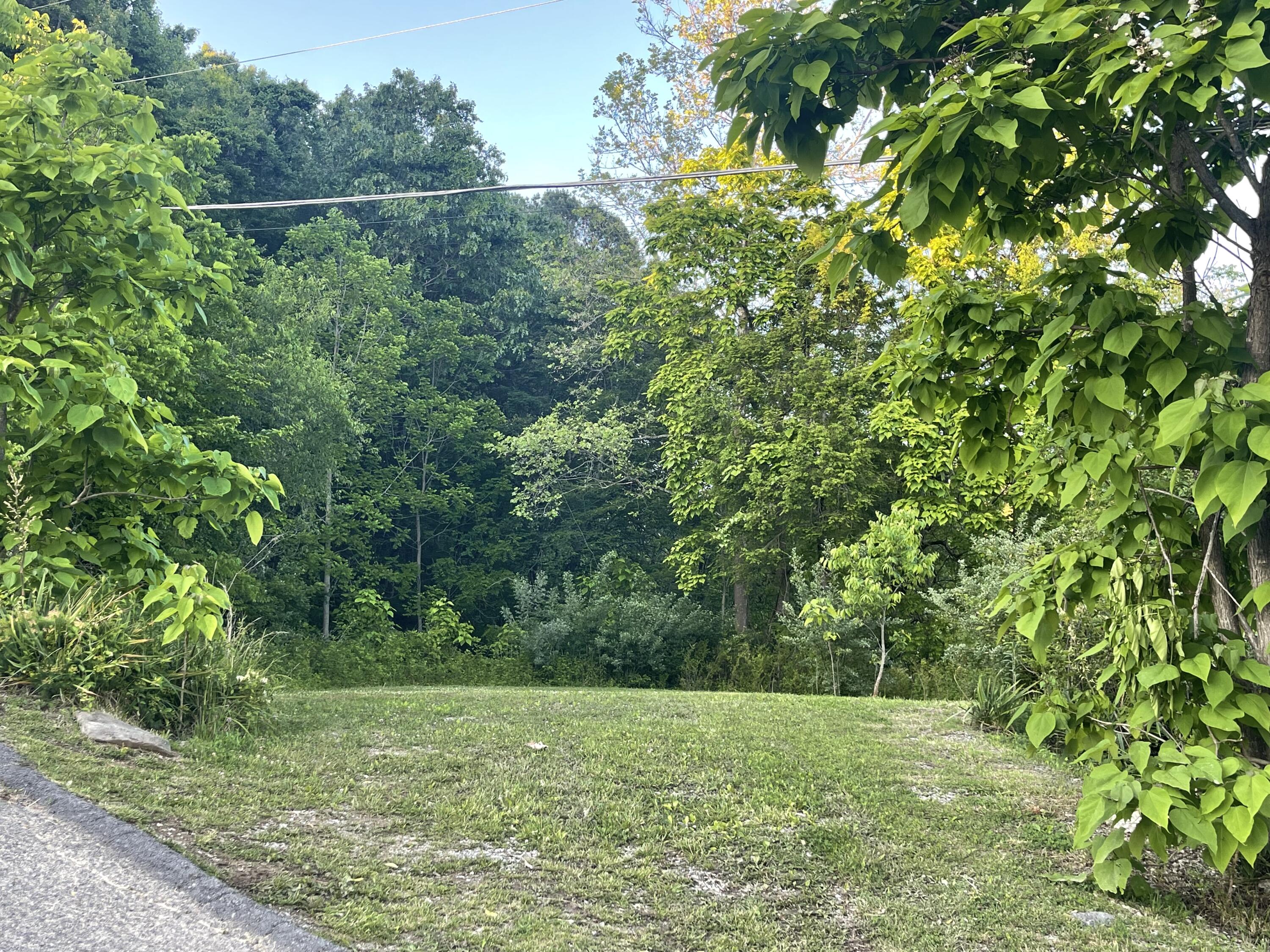 501 Trent Street, Coeburn, Virginia image 1