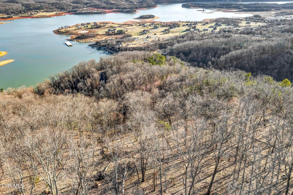 Photo of 1167 Keetoowah Drive, Mooresburg, TN 37811 (MLS # 9992955)