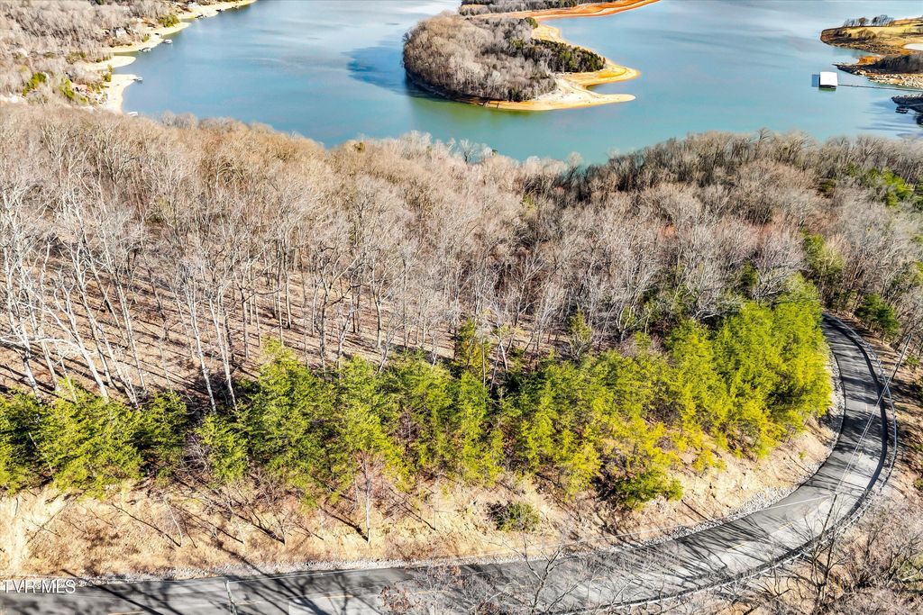 Photo of 1167 Keetoowah Drive, Mooresburg, TN 37811 (MLS # 9992955)