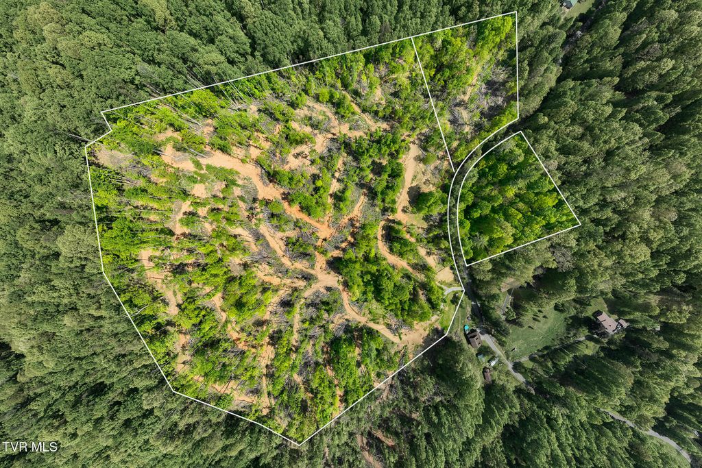 Photo of 177 Fork Mountain Road, Roan Mountain, TN 37687 (MLS # 9995236)