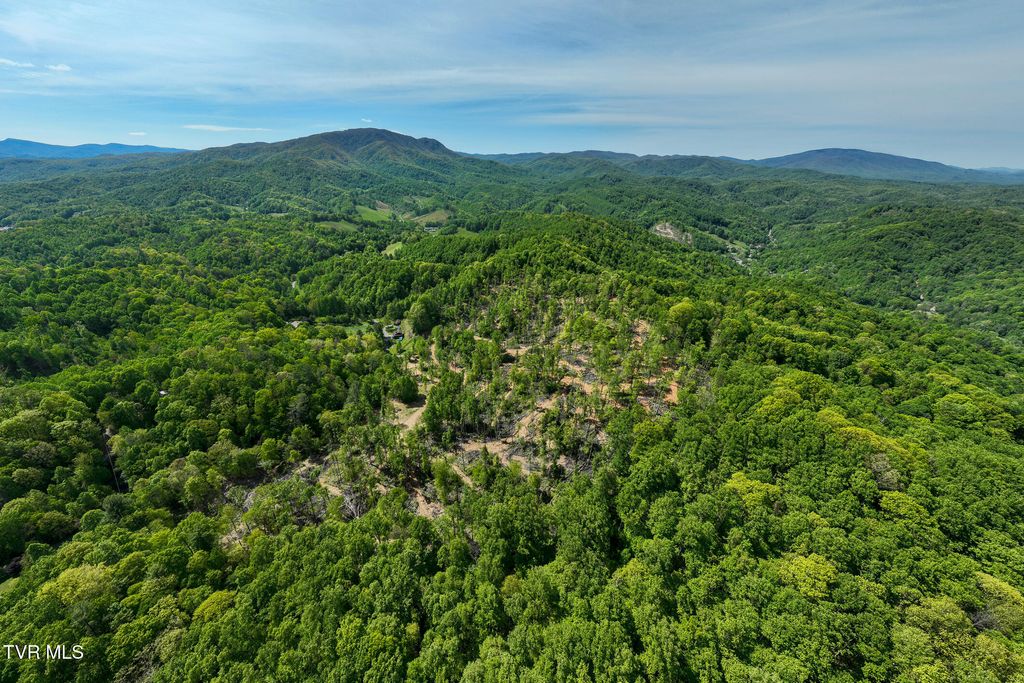Photo of 177 Fork Mountain Road, Roan Mountain, TN 37687 (MLS # 9995236)