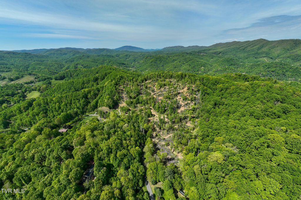Photo of 177 Fork Mountain Road, Roan Mountain, TN 37687 (MLS # 9995236)