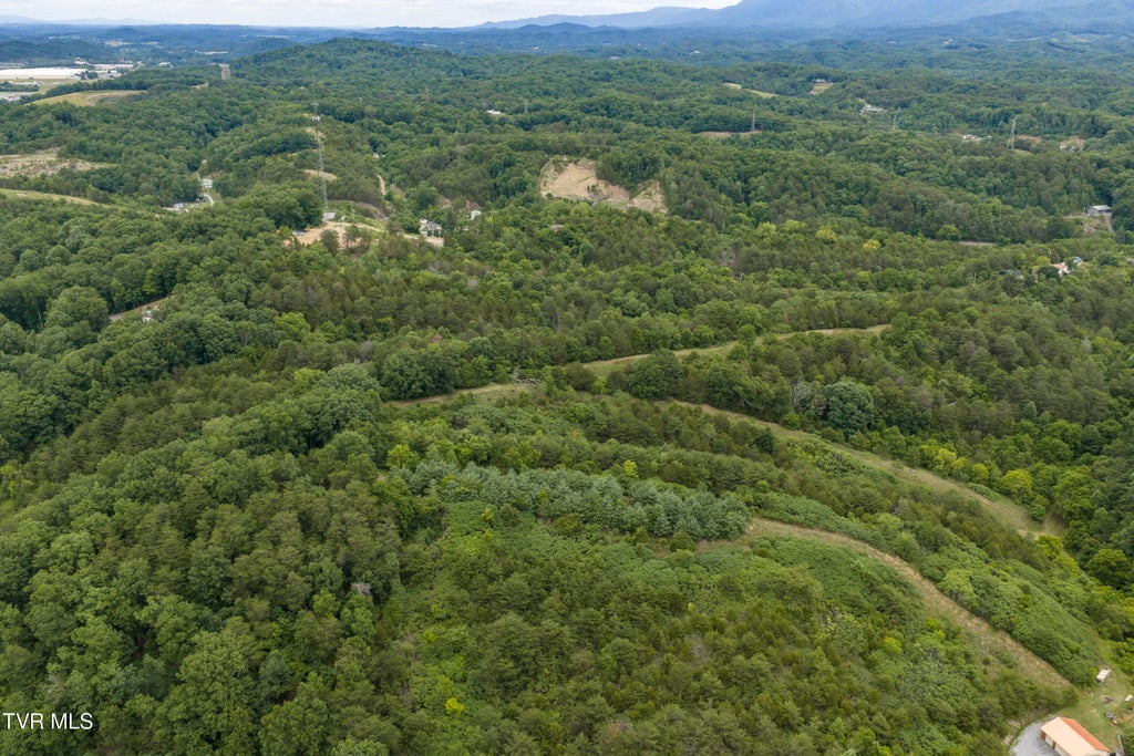 Photo of 700 Piney Flats Road, Piney Flats, TN 37686 (MLS # 9996959)