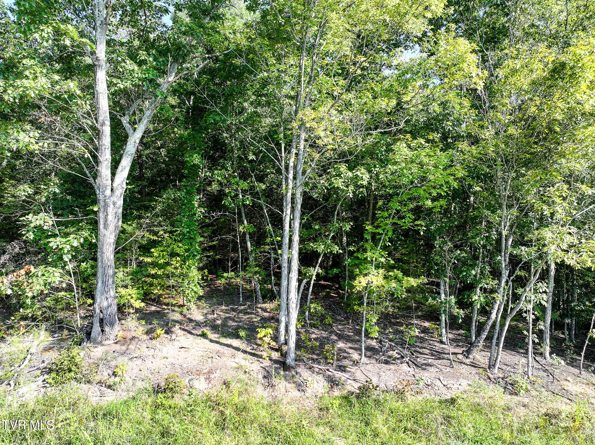 3030 Poplar Springs Rd, Greeneville, Tennessee image 37