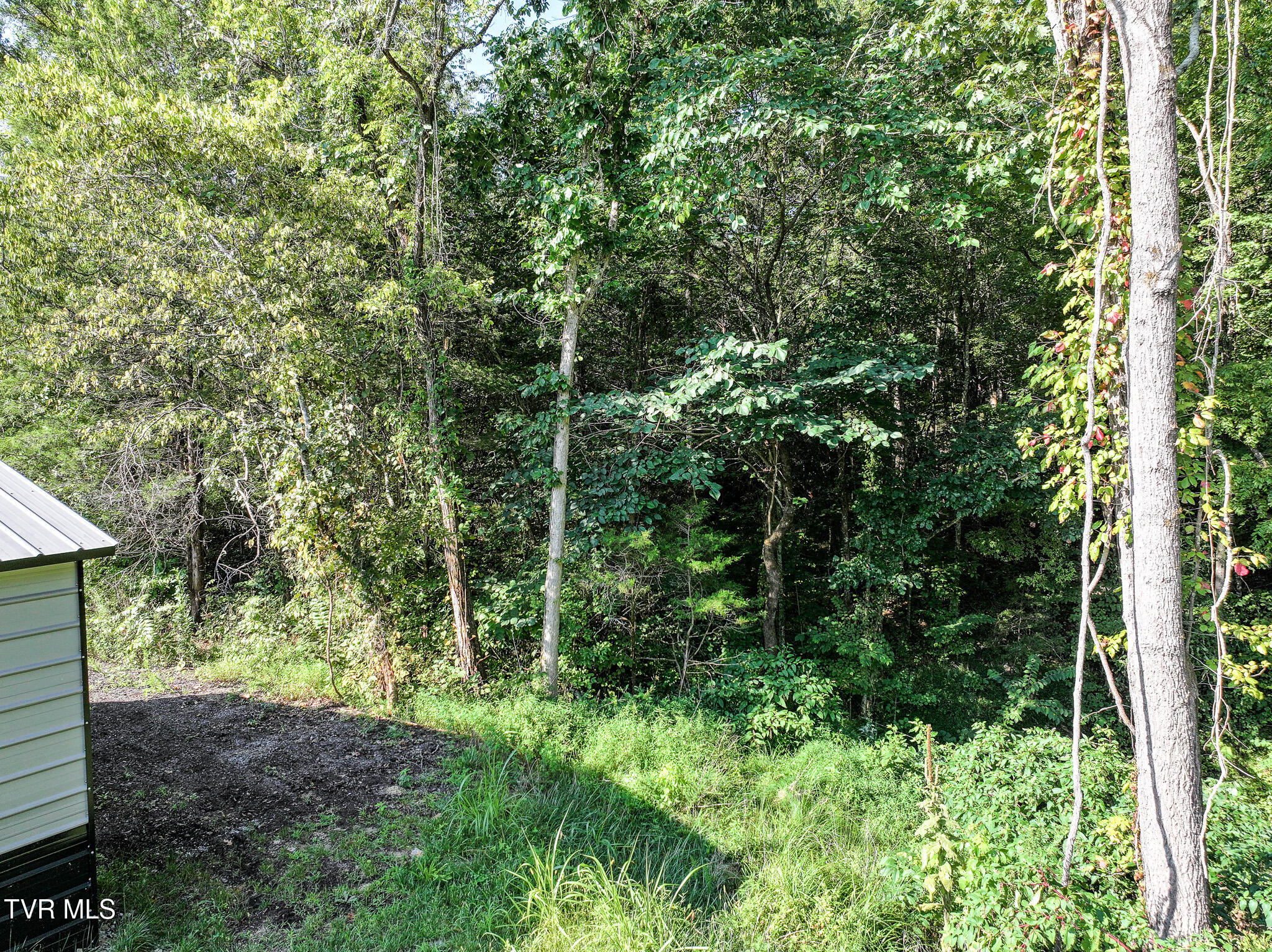 3030 Poplar Springs Rd, Greeneville, Tennessee image 34