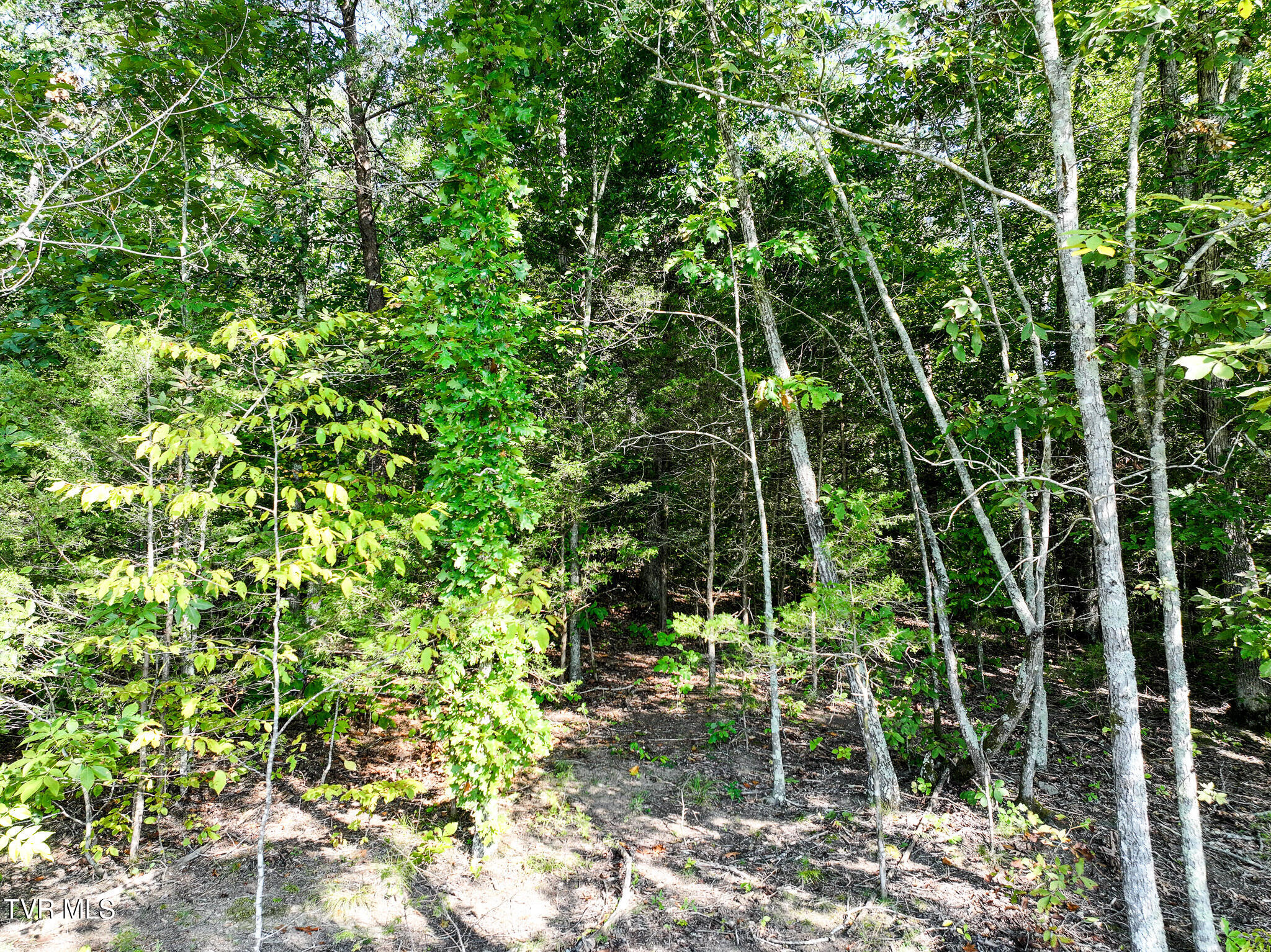 3030 Poplar Springs Rd, Greeneville, Tennessee image 38