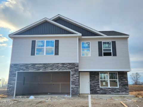 Photo of 1169 Aspen Terrace, Greeneville, TN 37745 (MLS # 9988177)