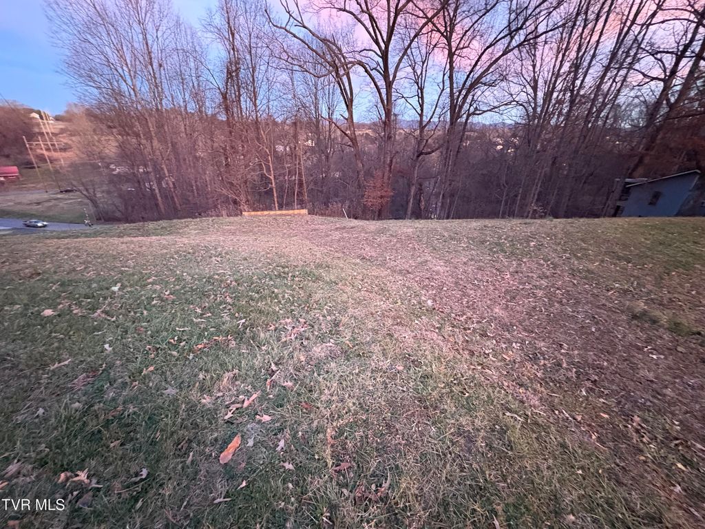 Photo of 714 Turnpike Court, Jonesborough, TN 37659 (MLS # 9992296)