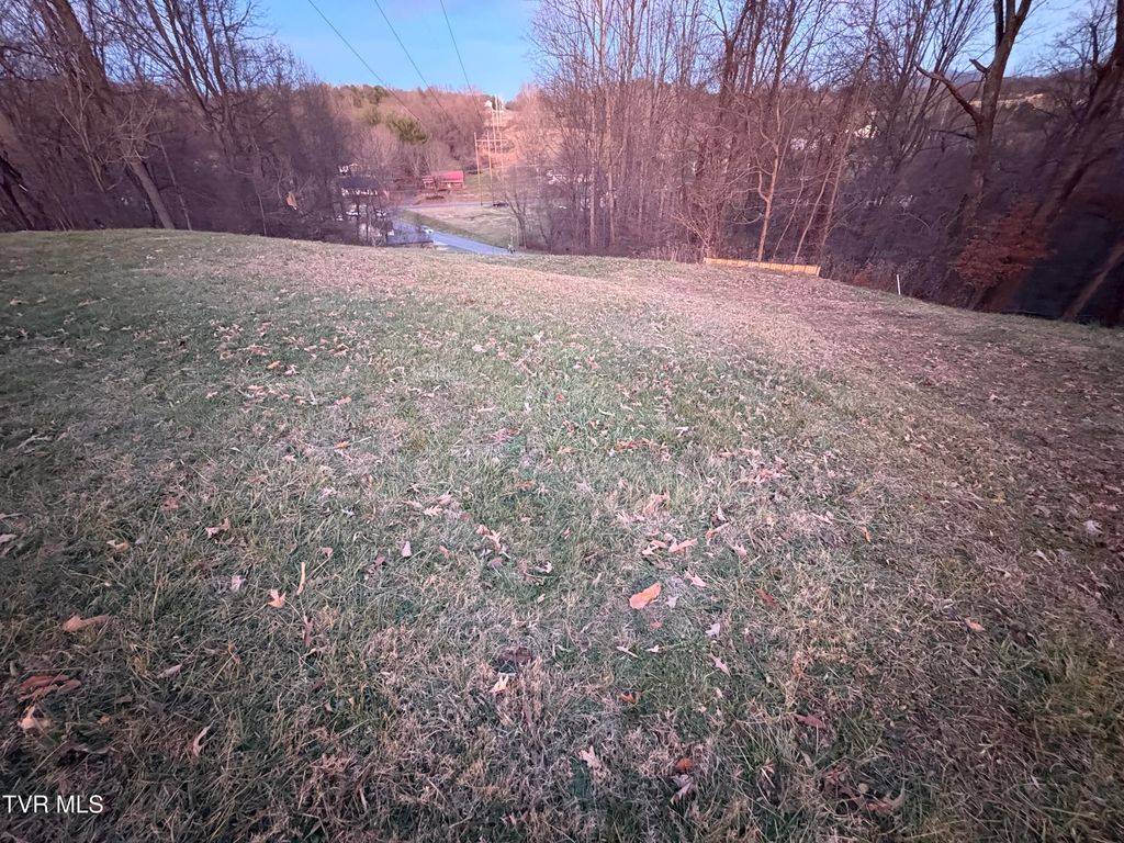 Photo of 714 Turnpike Court, Jonesborough, TN 37659 (MLS # 9992296)