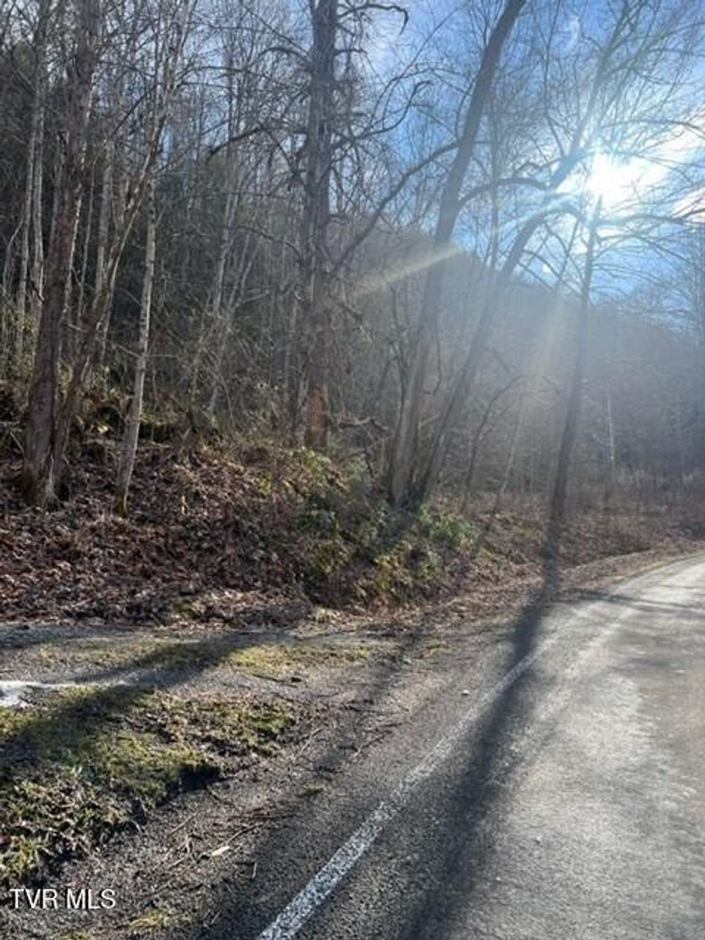 Photo of 2995 State Route 606, Keokee, VA 24265 (MLS # 9991159)