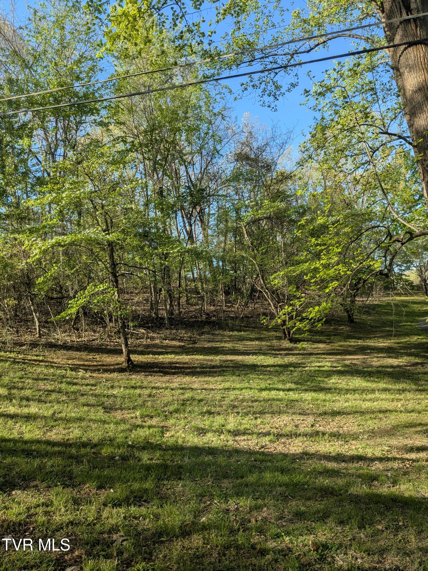 Tbd Rockingham Road, Johnson City, Tennessee image 2
