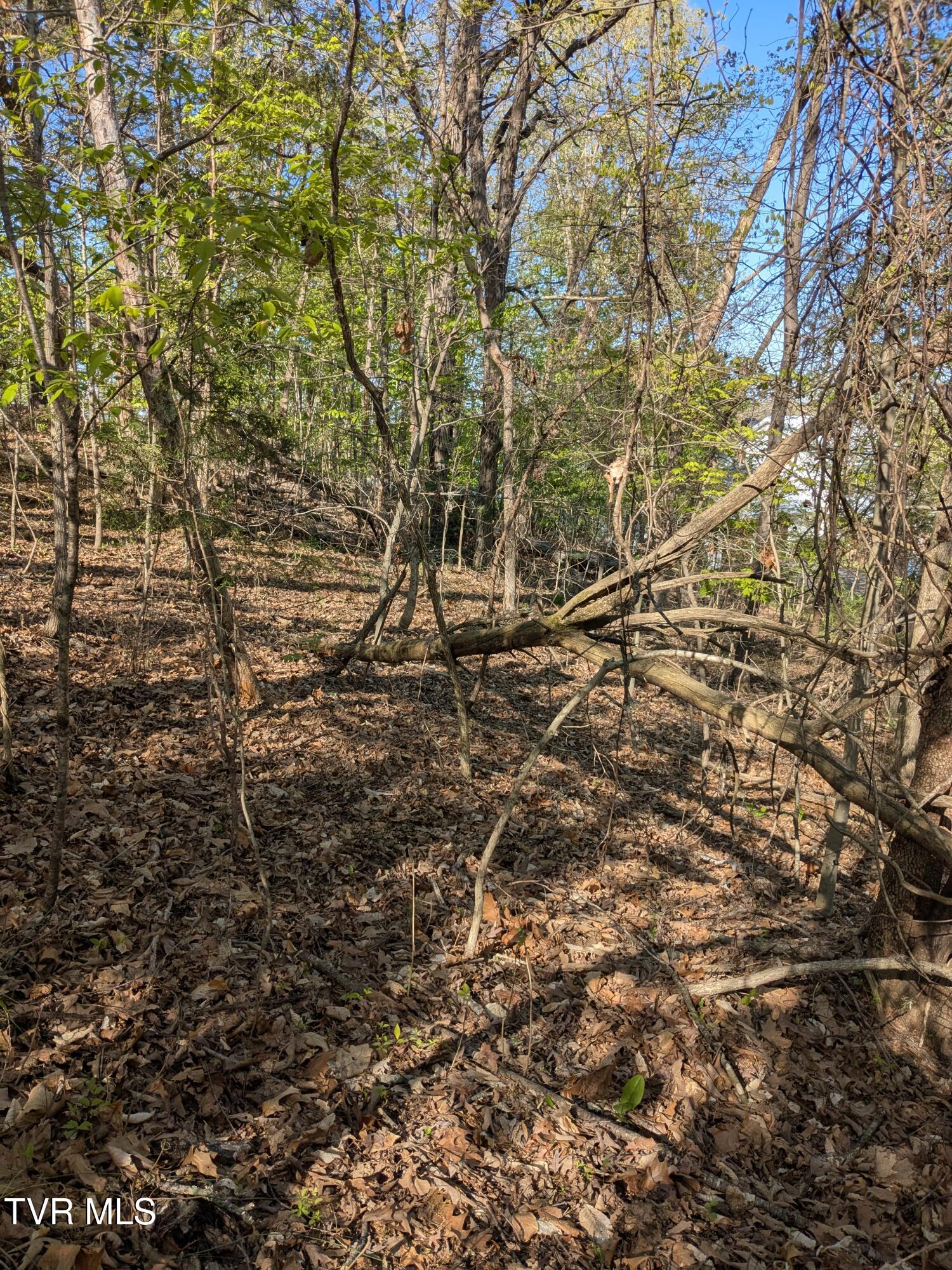 Tbd Rockingham Road, Johnson City, Tennessee image 1