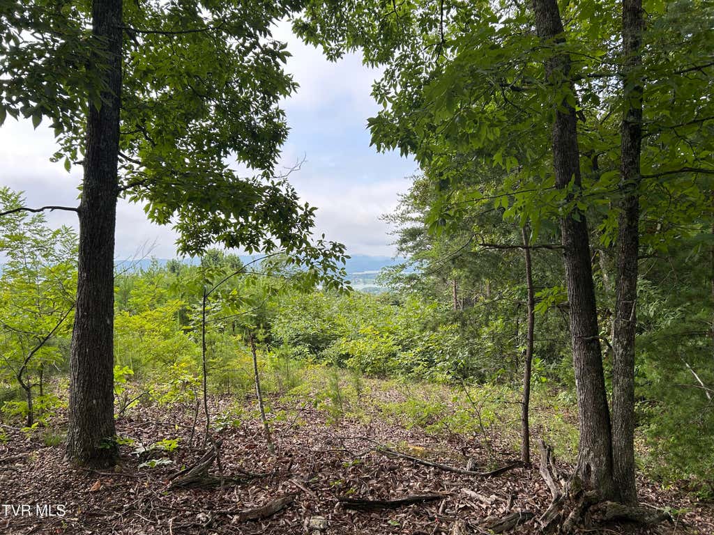 Photo of 69 Megans Trail #Lot 69, Bean Station, TN 37708 (MLS # 9998475)