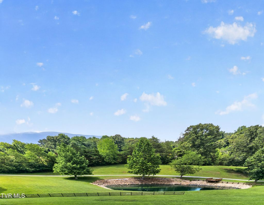 Photo of 835 John Bird Road, Afton, TN 37616 (MLS # 9996792)