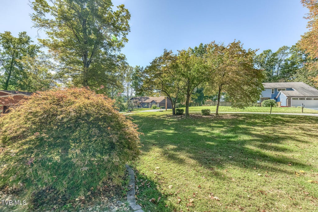 Photo of 238 Picadilly Lane, Gray, TN 37615 (MLS # 10002515)