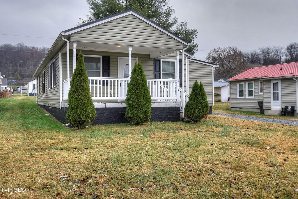 Photo of 1004 Dejarnette Street, Elizabethton, TN 37643 (MLS # 9988682)