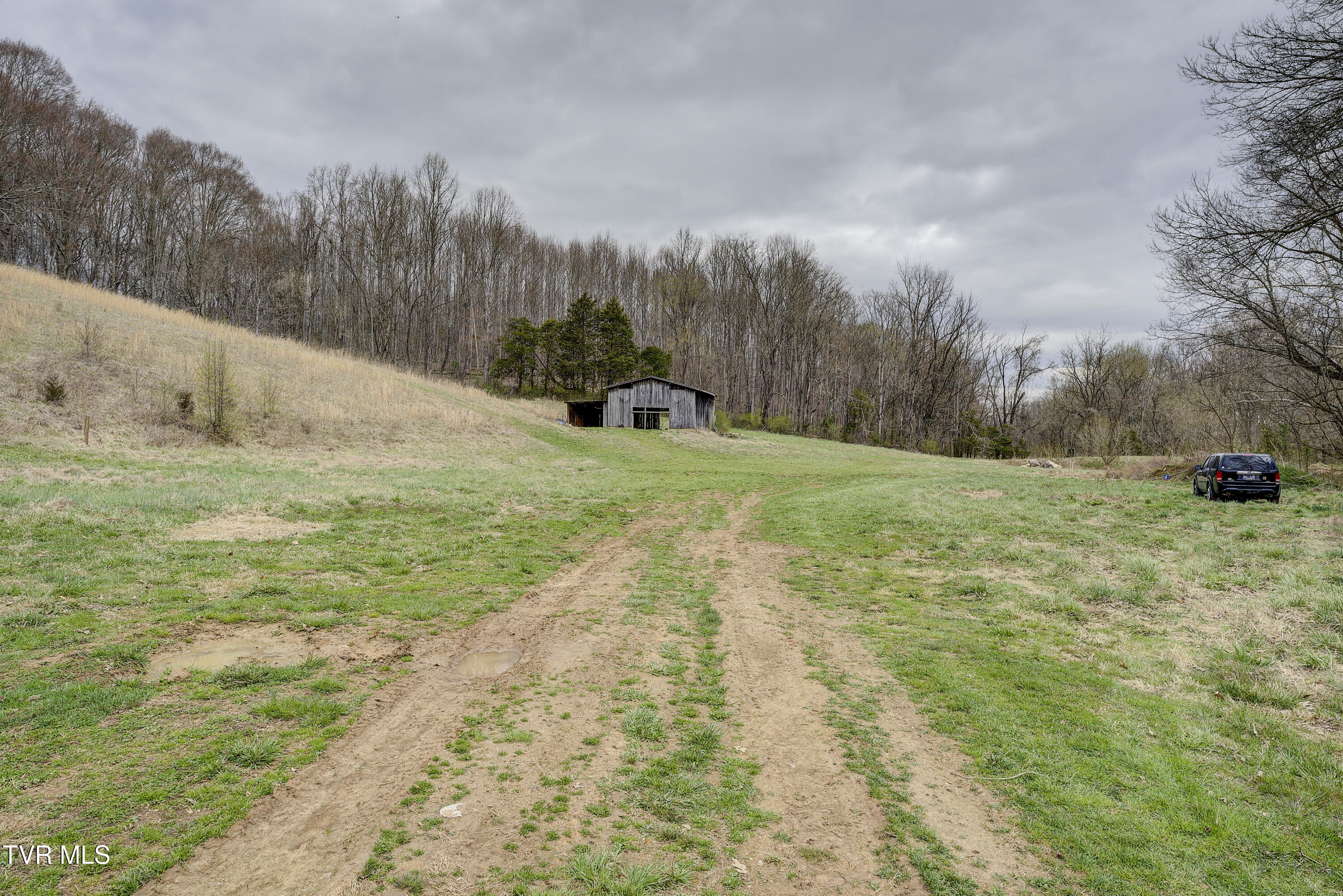733 Corby Bridge Road, Limestone, Tennessee image 27