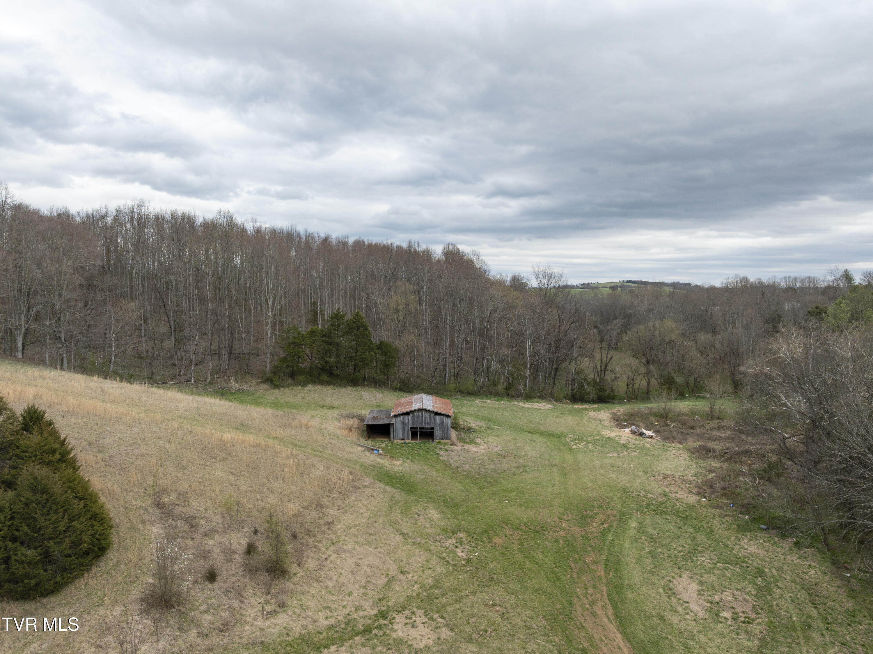 733 Corby Bridge Road, Limestone, Tennessee image 1