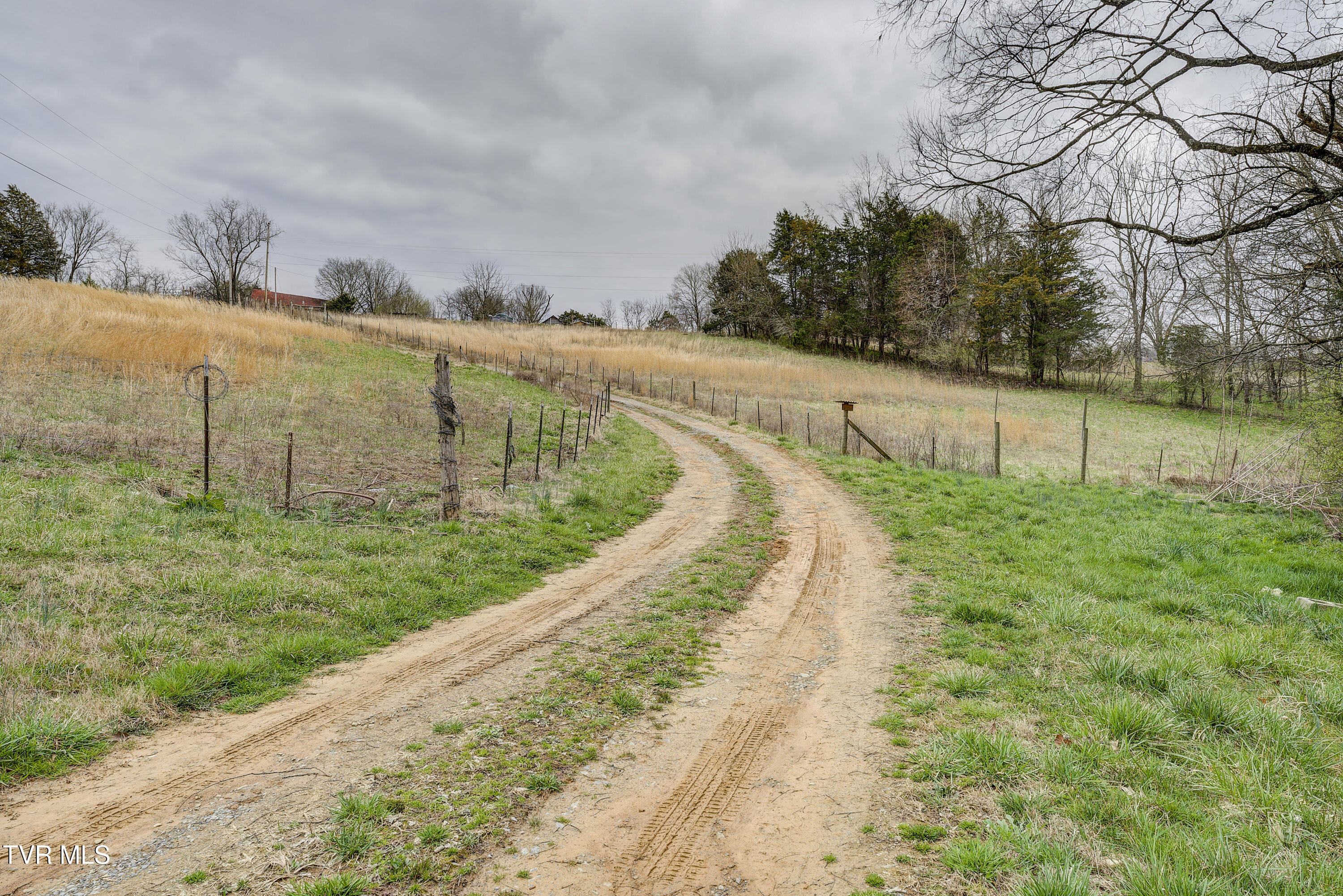 733 Corby Bridge Road, Limestone, Tennessee image 23