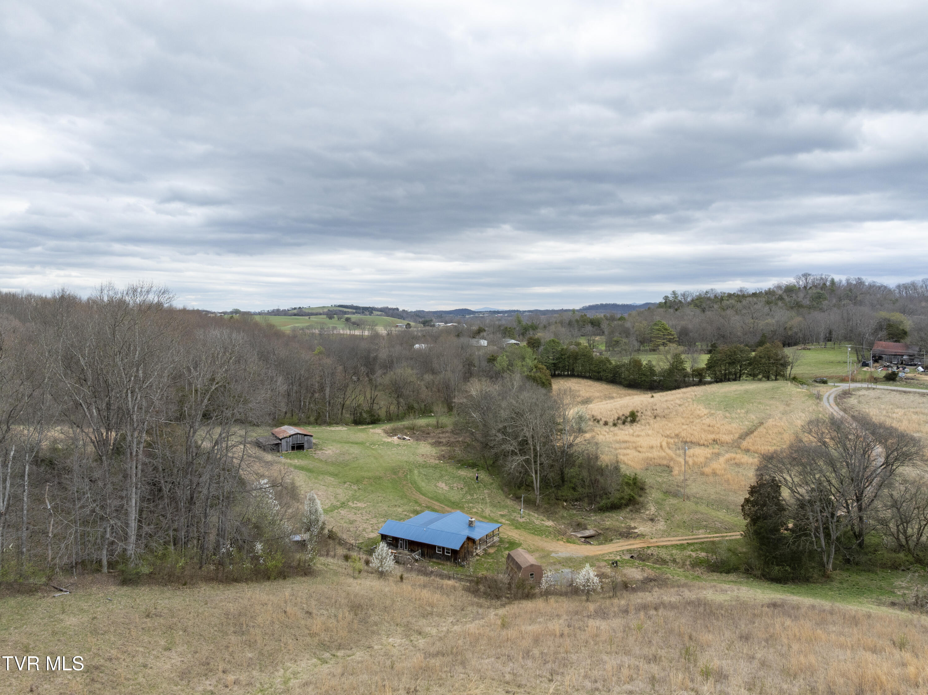 733 Corby Bridge Road, Limestone, Tennessee image 6