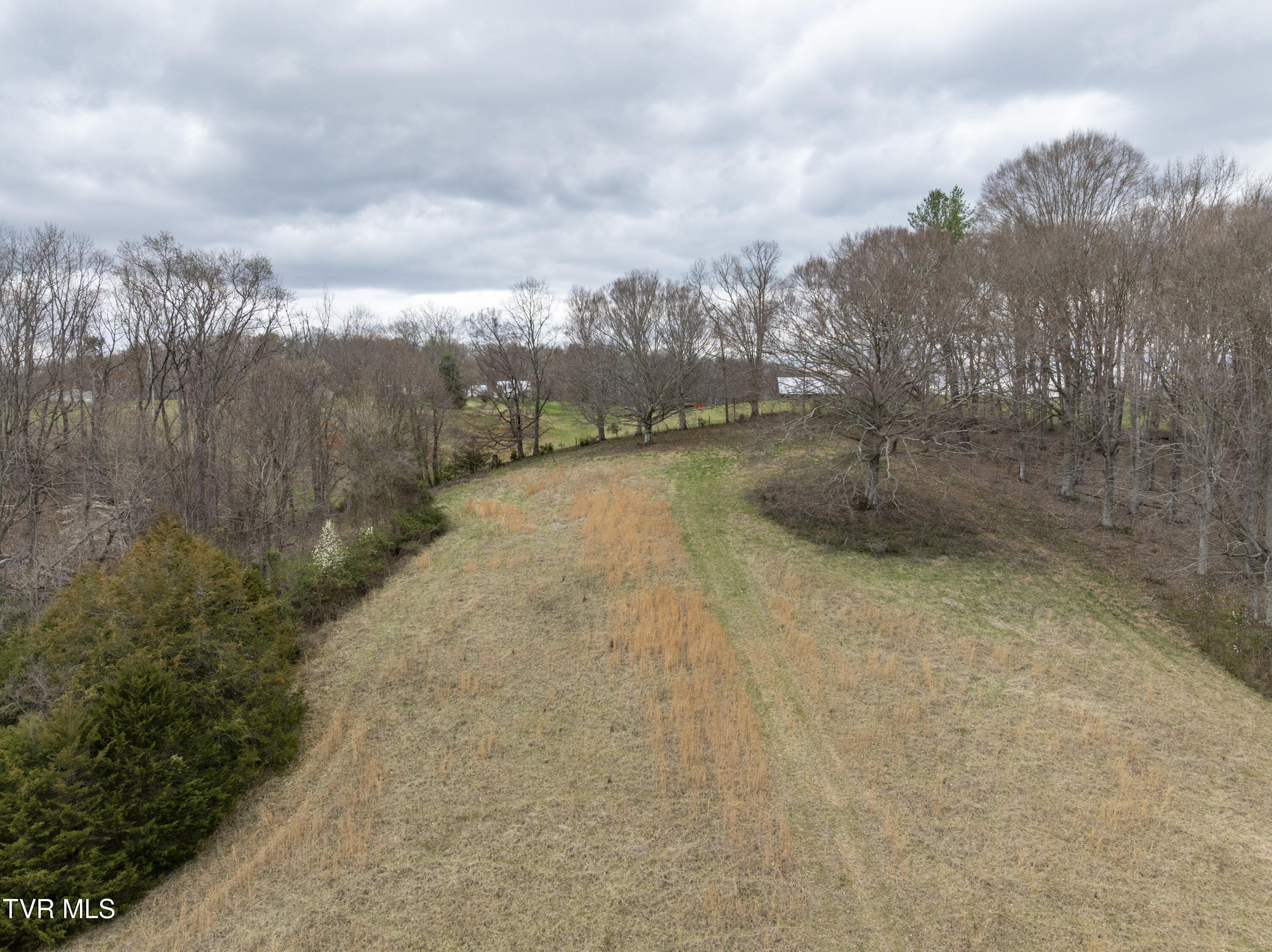 733 Corby Bridge Road, Limestone, Tennessee image 3