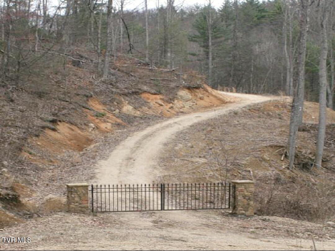 306 Honeymoon Lot 68 Hollow, Butler, Tennessee image 2